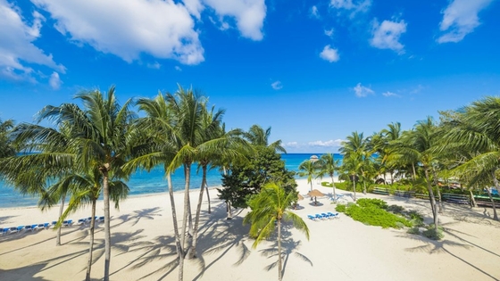 RESIDENCE REEF PH  — 2